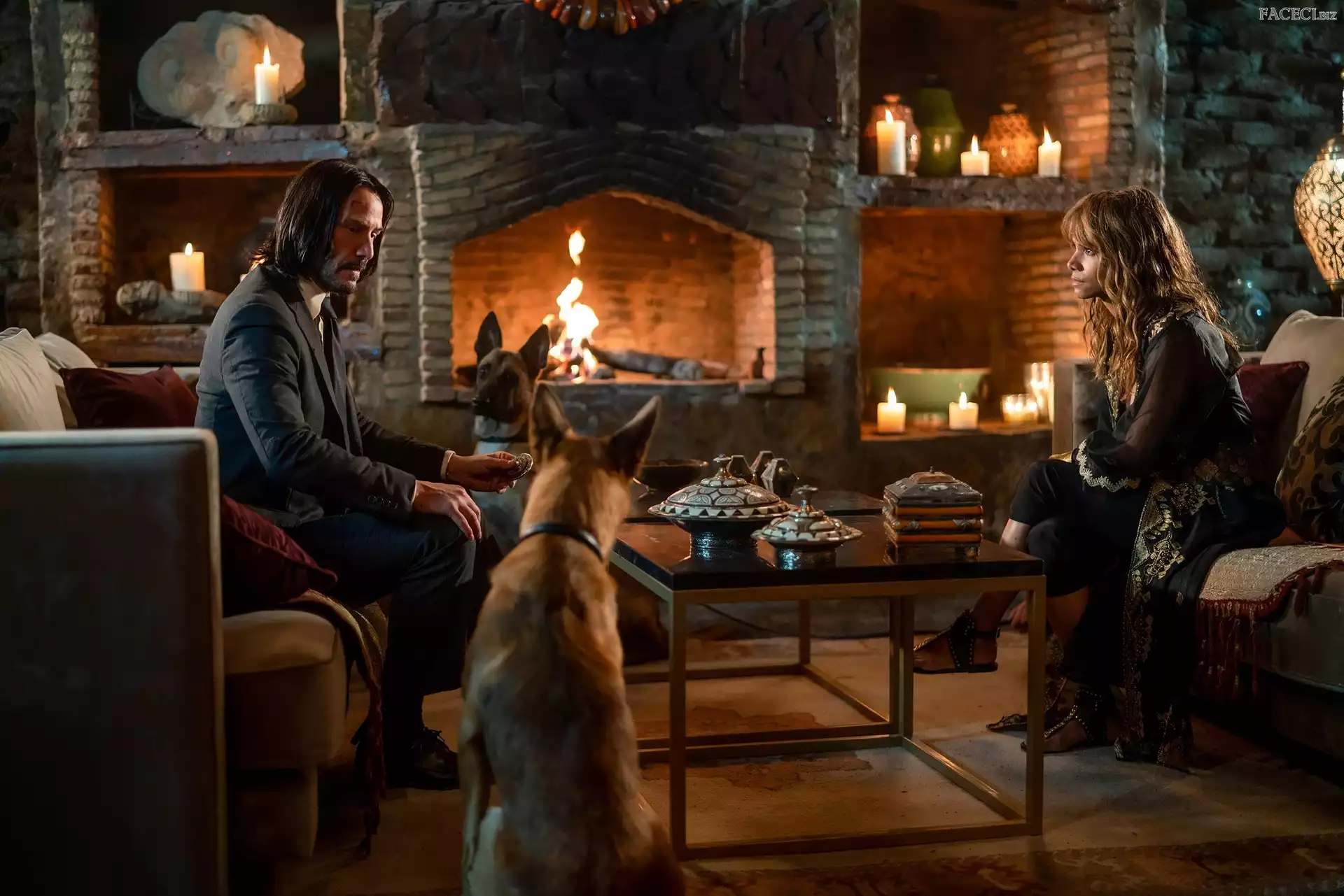 Keanu Reeves, Kominek, Aktorka, Film, Pokój, Psy, Aktor, John Wick 3, Halle Berry